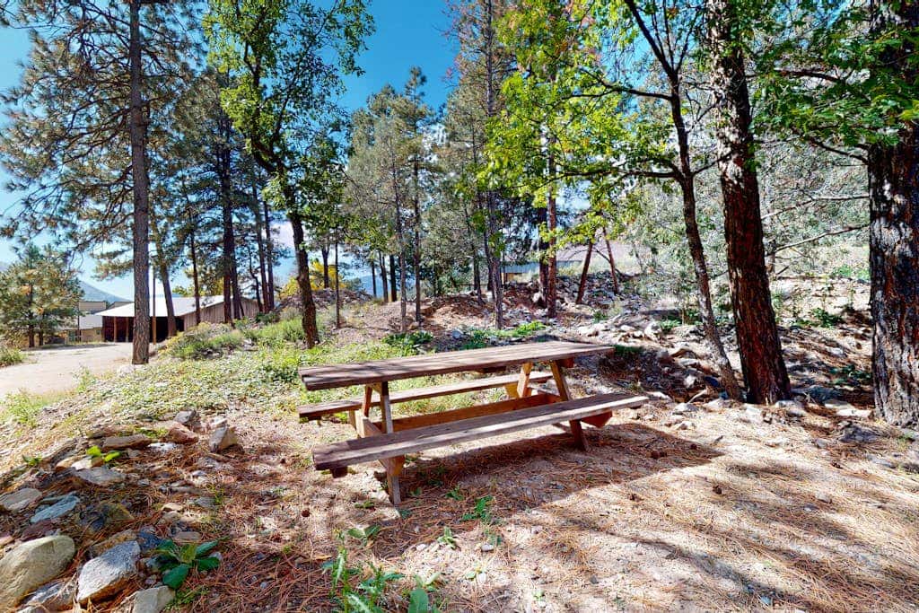 Pine Station 323