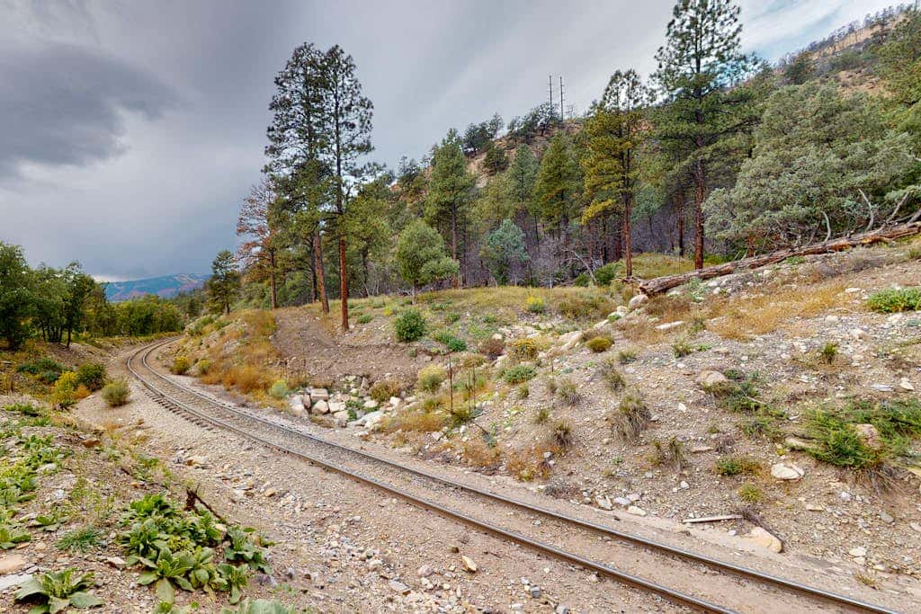 Pine Station 323