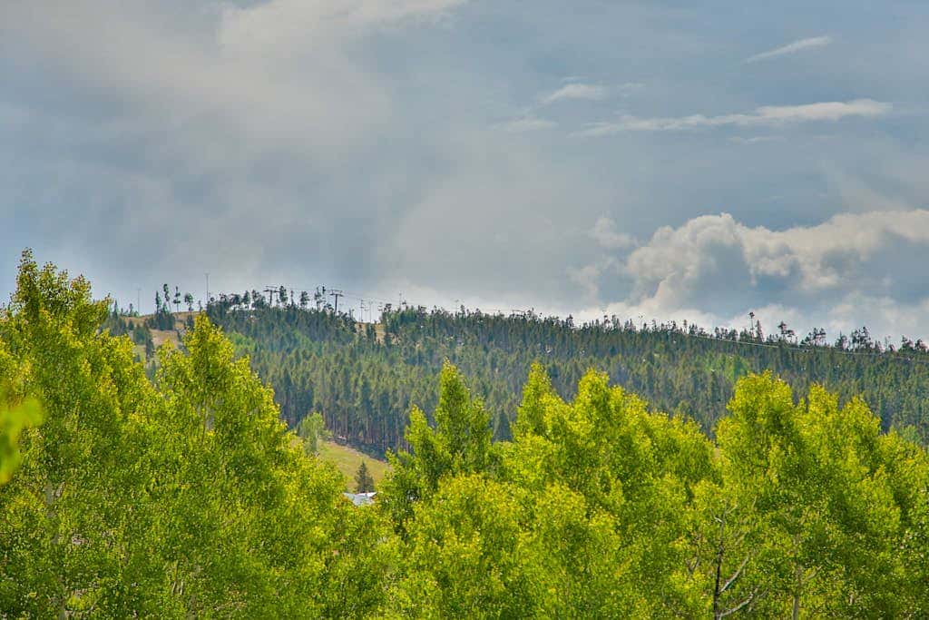 Kicking Horse Lodges 3-202