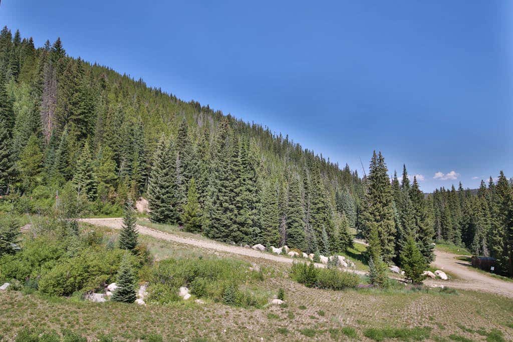 Iron Horse Resort 5064