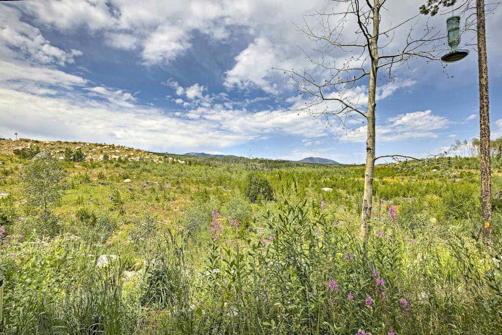 Trailside Tranquility