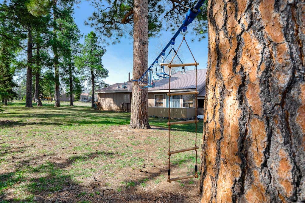 Pines 4043