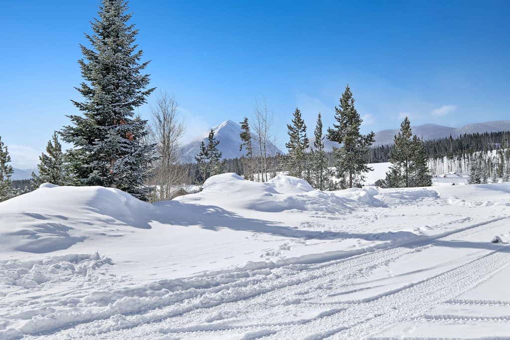 Timber Ridge Condo