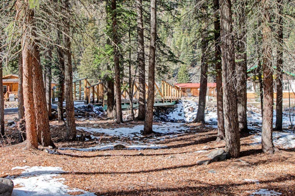 Coyote Cabin