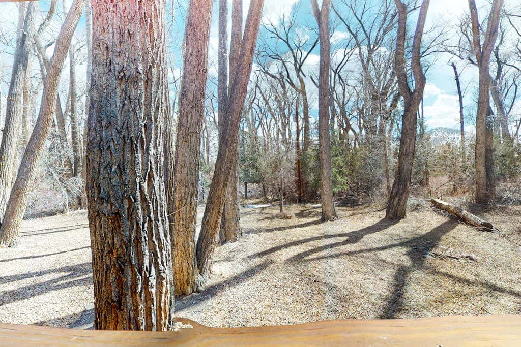 Cottonwood Kabin