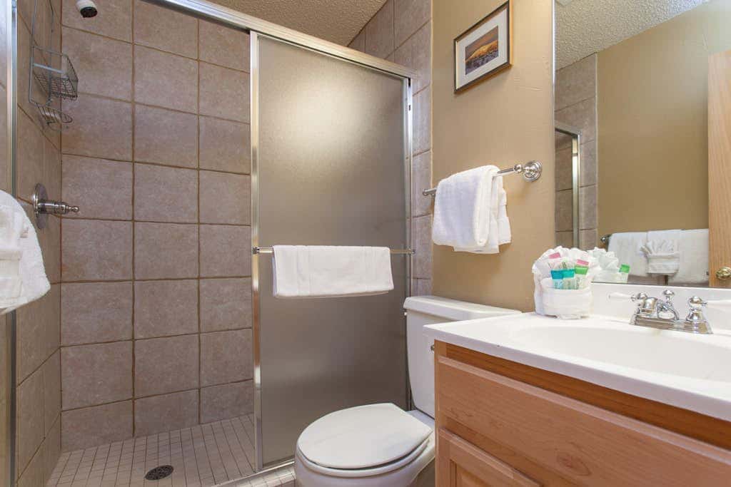 Ski Inn 231