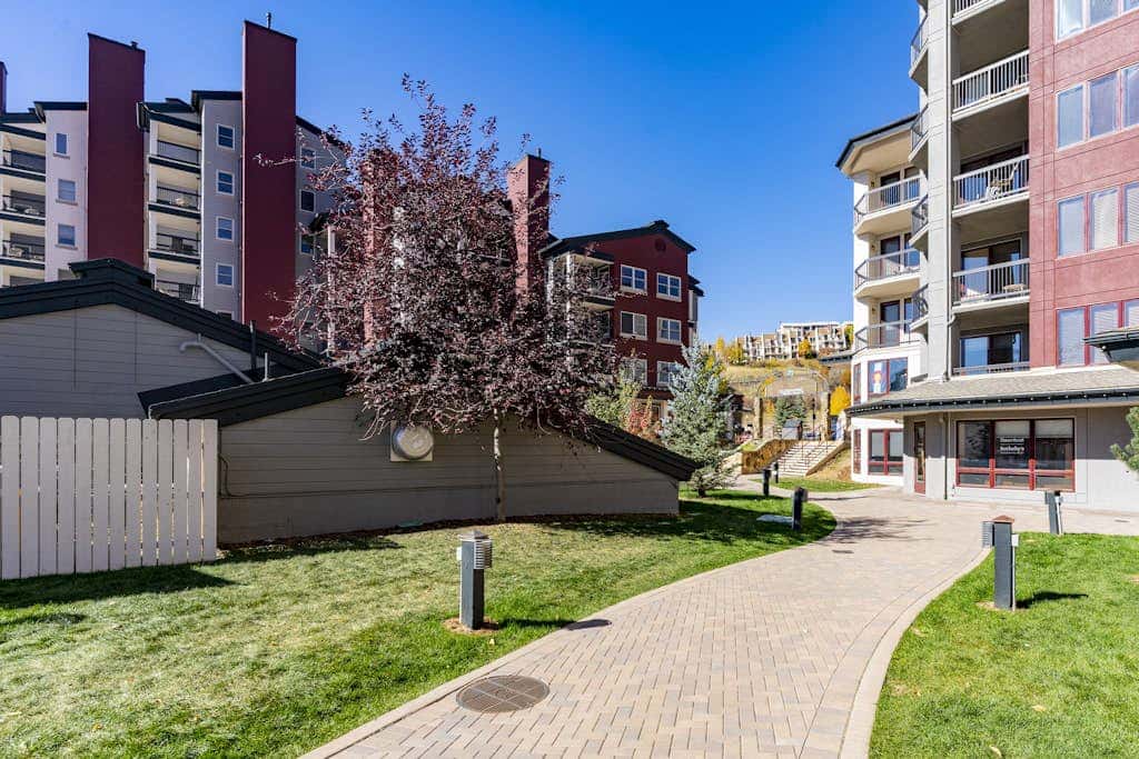 Torian Plum Plaza 508