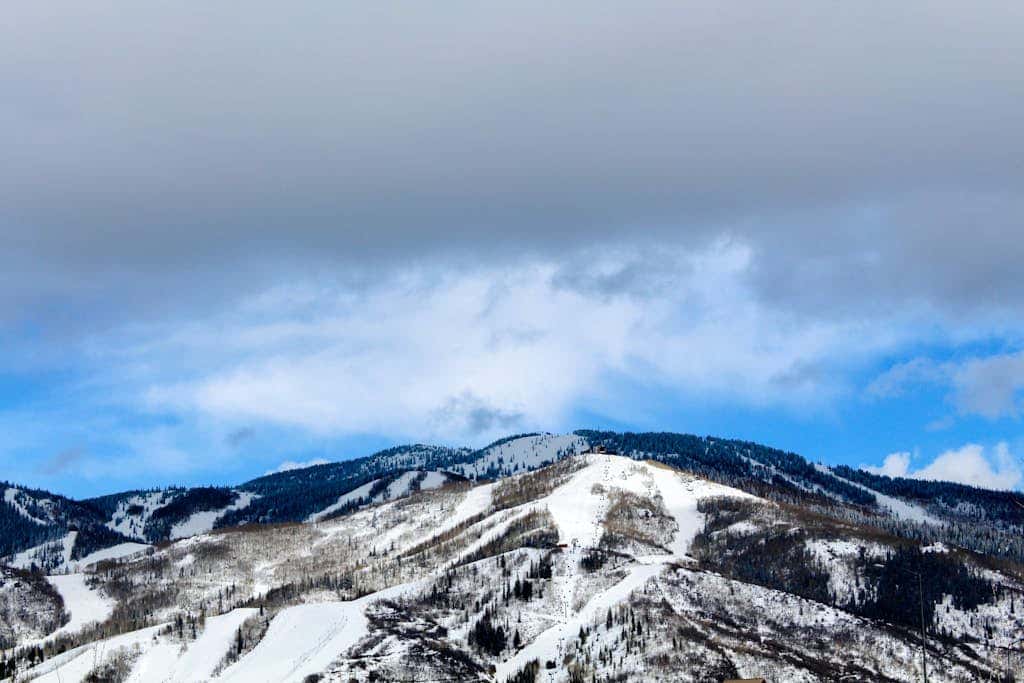 Phoenix 116 - Studio