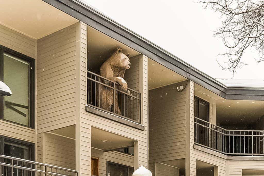 Cimarron 13 - Mountain Retreat