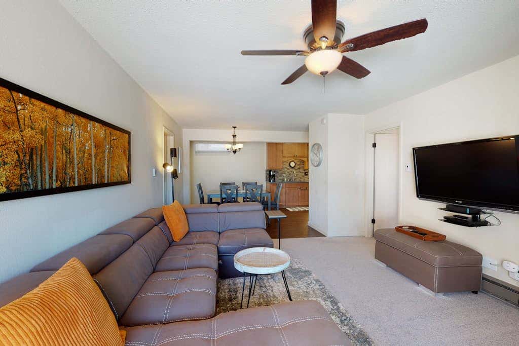 Ski Inn 313