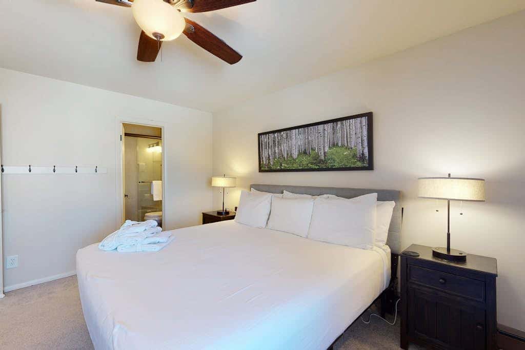 Ski Inn 313