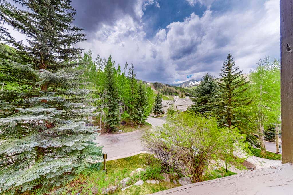 Beaver Creeks Meadows