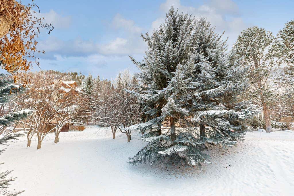 Seasons Lodge #202
