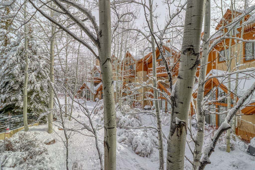 Snowy Spruce Sanctuary
