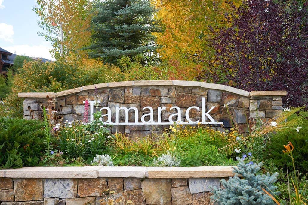 Tamarack 11