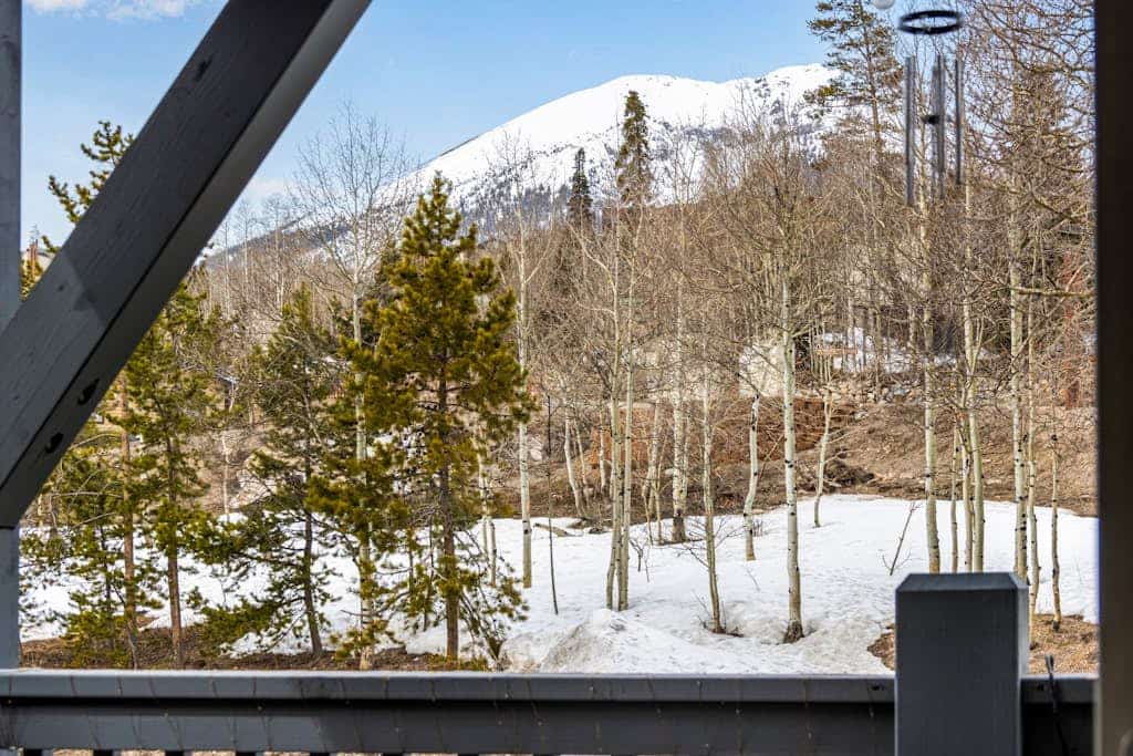 Mountain-view condo in central location with wood stove