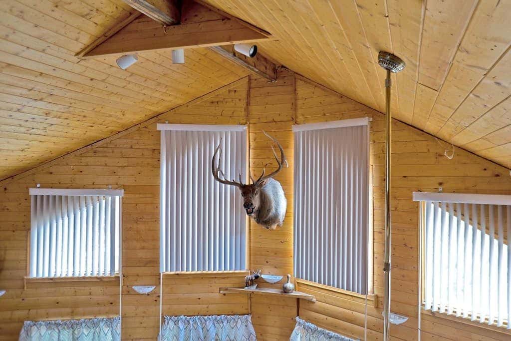 Alpine Mountain Top Home