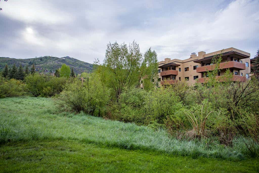 Canyon Creek A304
