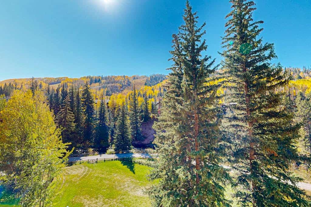 Ski-in/out condo w/ fireplace, mountain view, fast WiFi, shared pool/WD/hot tub
