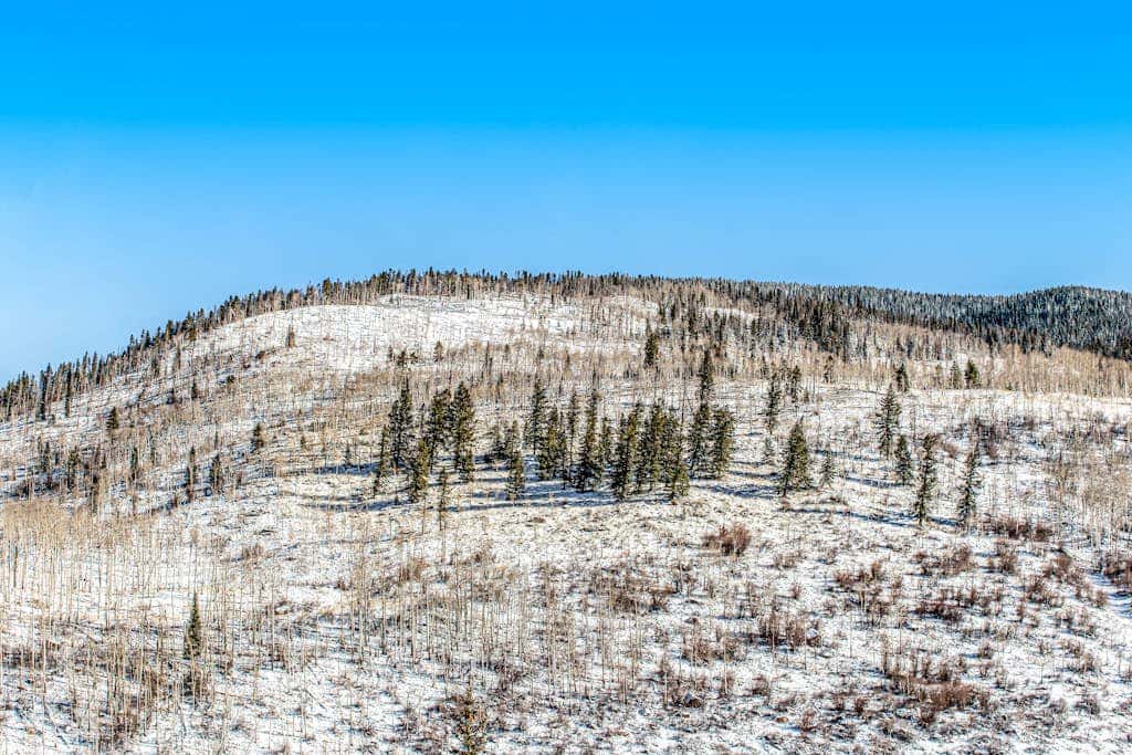 Timber Falls #1504