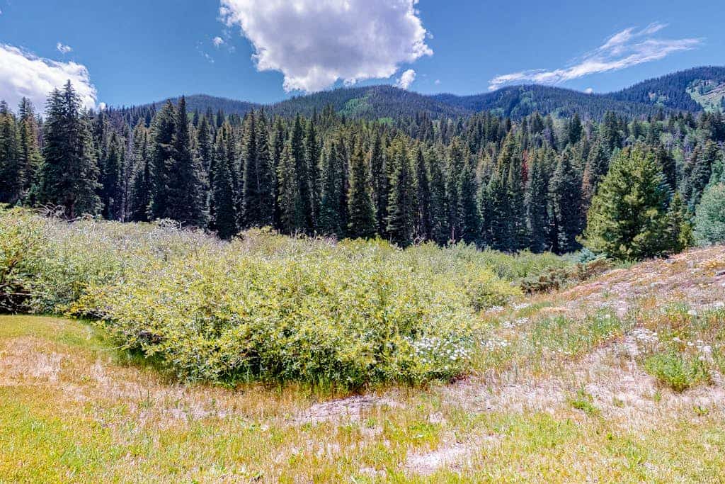 Mountain-view home with private hot tub, solarium & fireplace - steps to shuttle