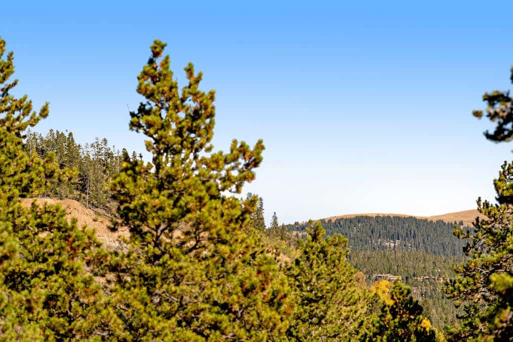 Renovated mountain condo close to the river with pool & hot tub - walk to slopes