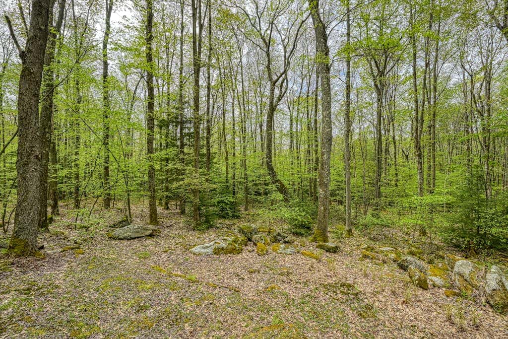 2BR - Forest Cabin - Fire Pit