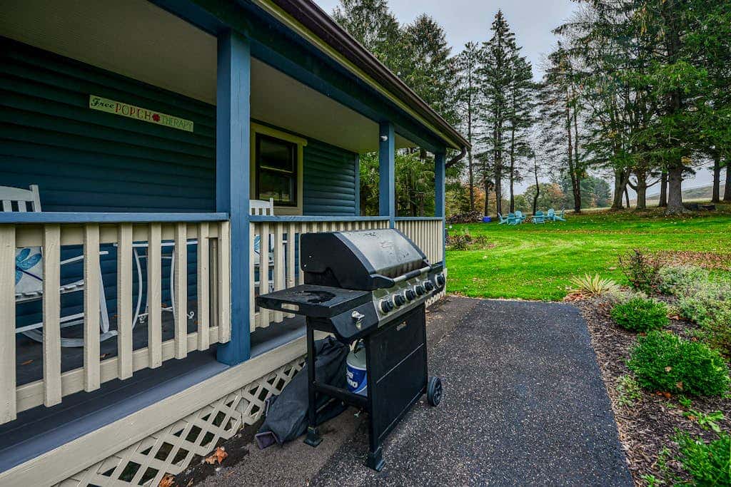 Charming 3BR Cabin - POND VIEW - McHenry