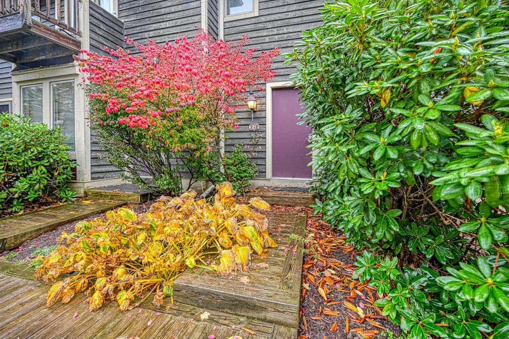 Woodsy 2BR Townhome- SKI VIEW - McHenry