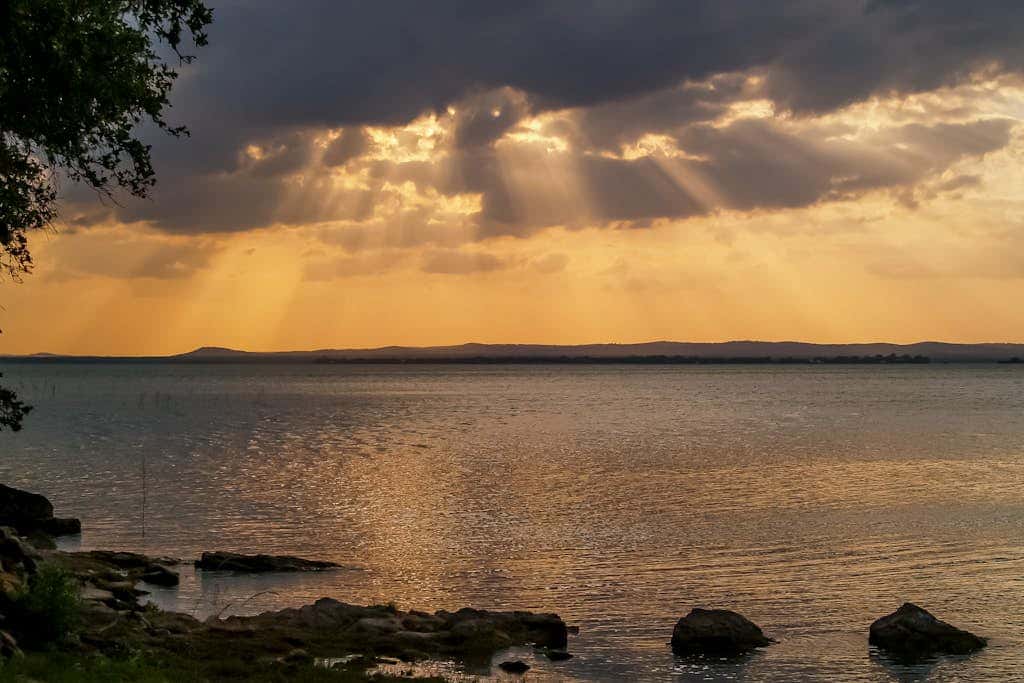 Seahorse Cove
