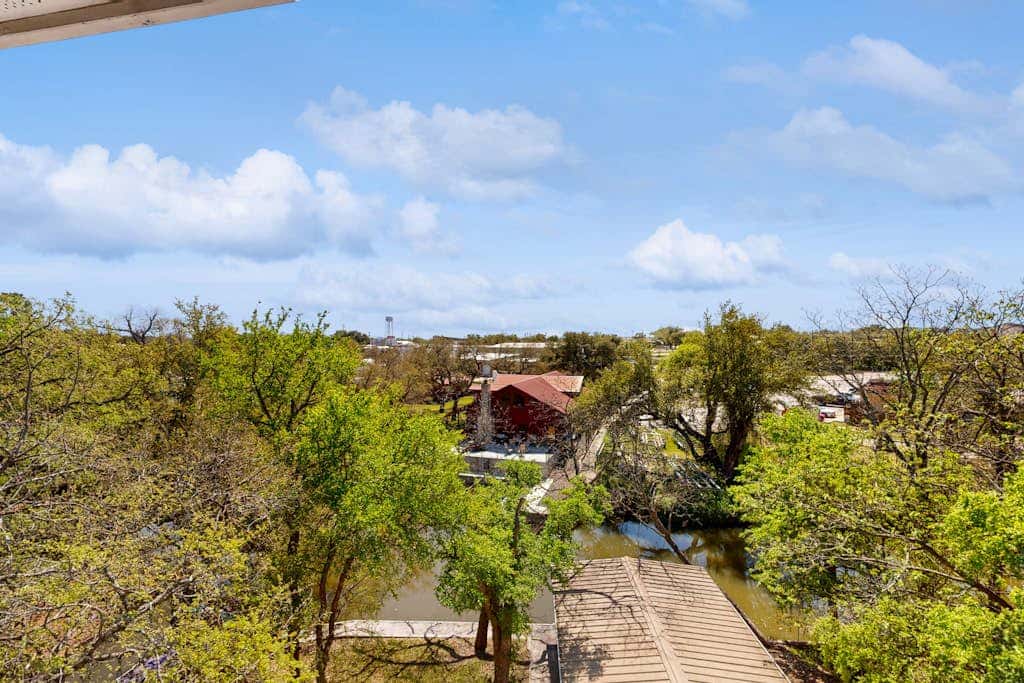 Treetop on LBJ