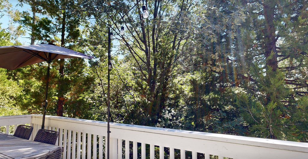 Treetop Cottage