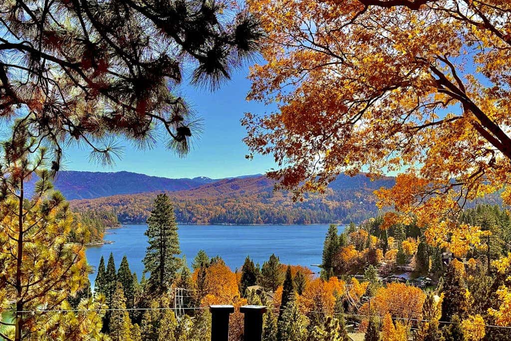 Surreal Feel Lakeview Chalet