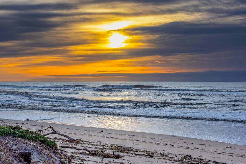 Monterey Dune Dream