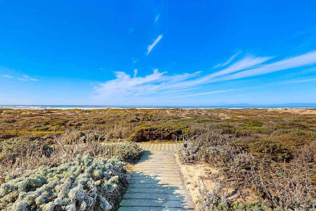 Monterey Dune Dream