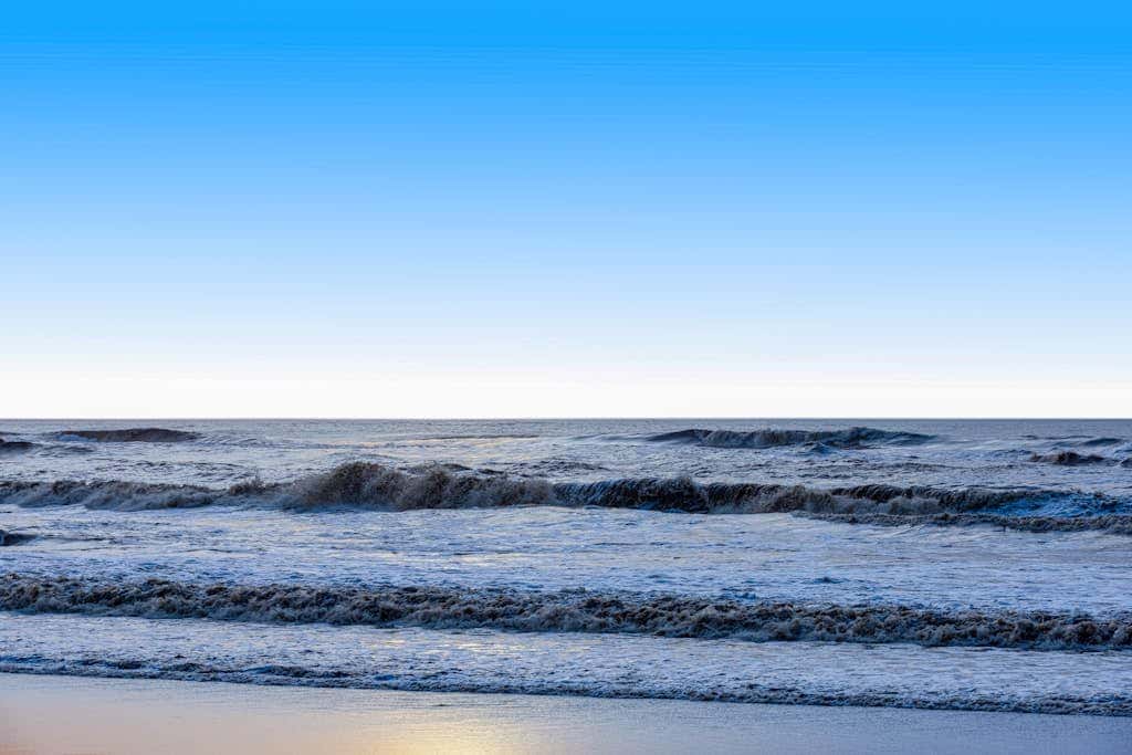 Monterey Dune Dream