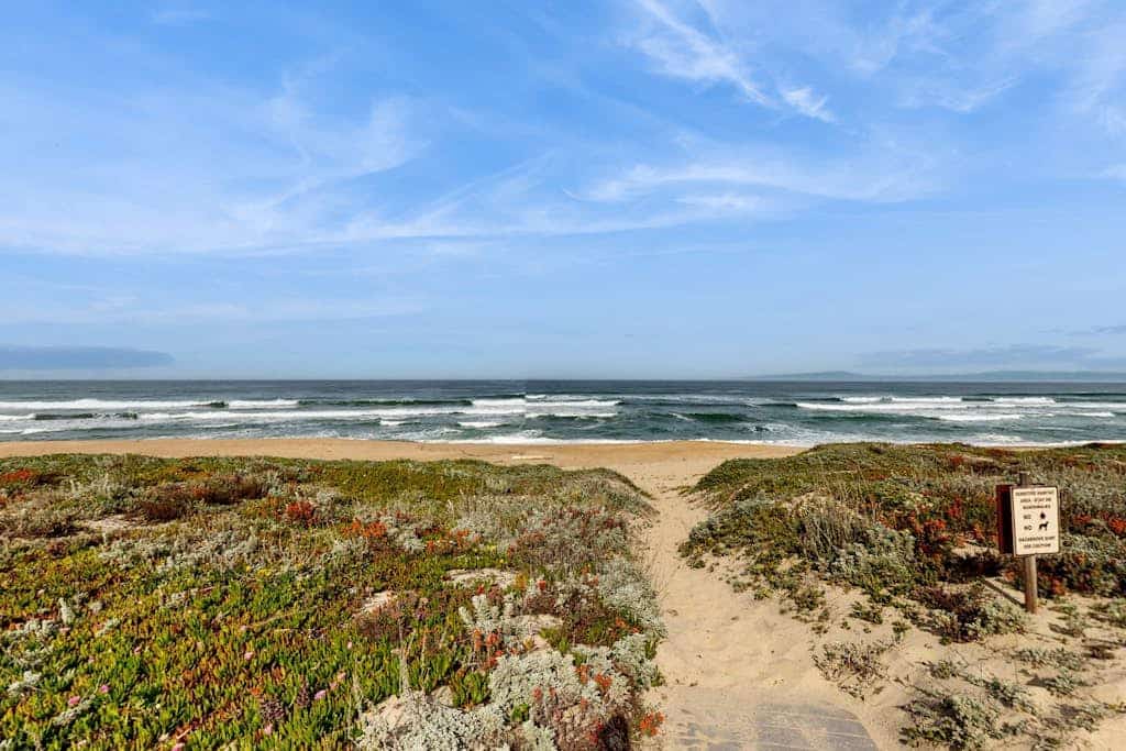 Beachfront condo with private patio, beach access, shared pool & hot tub.