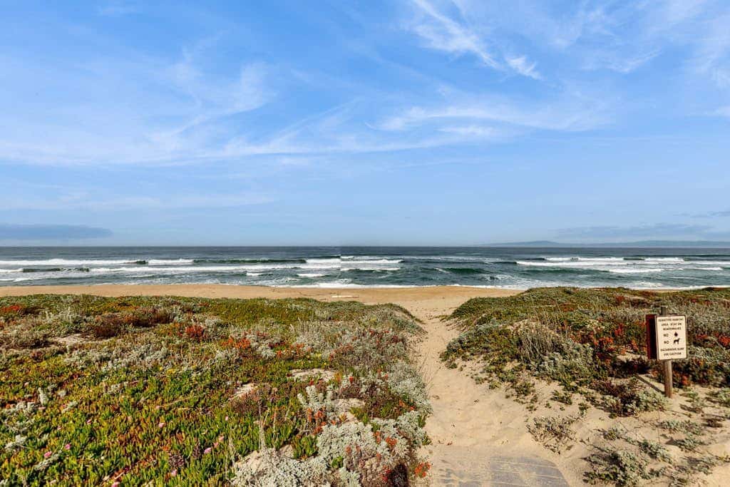 Oceanview Oasis at Monterey Dunes