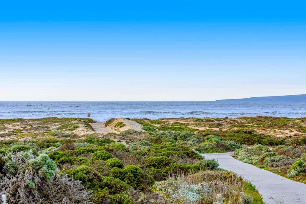 Oceanview Oasis at Monterey Dunes