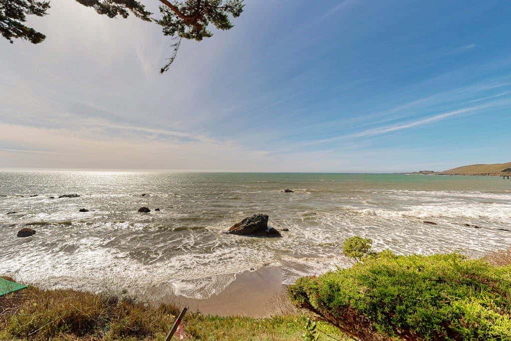 Oceanfront Delight