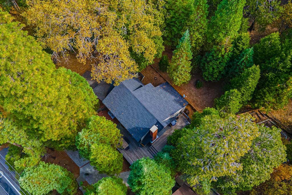 Serene Cabin