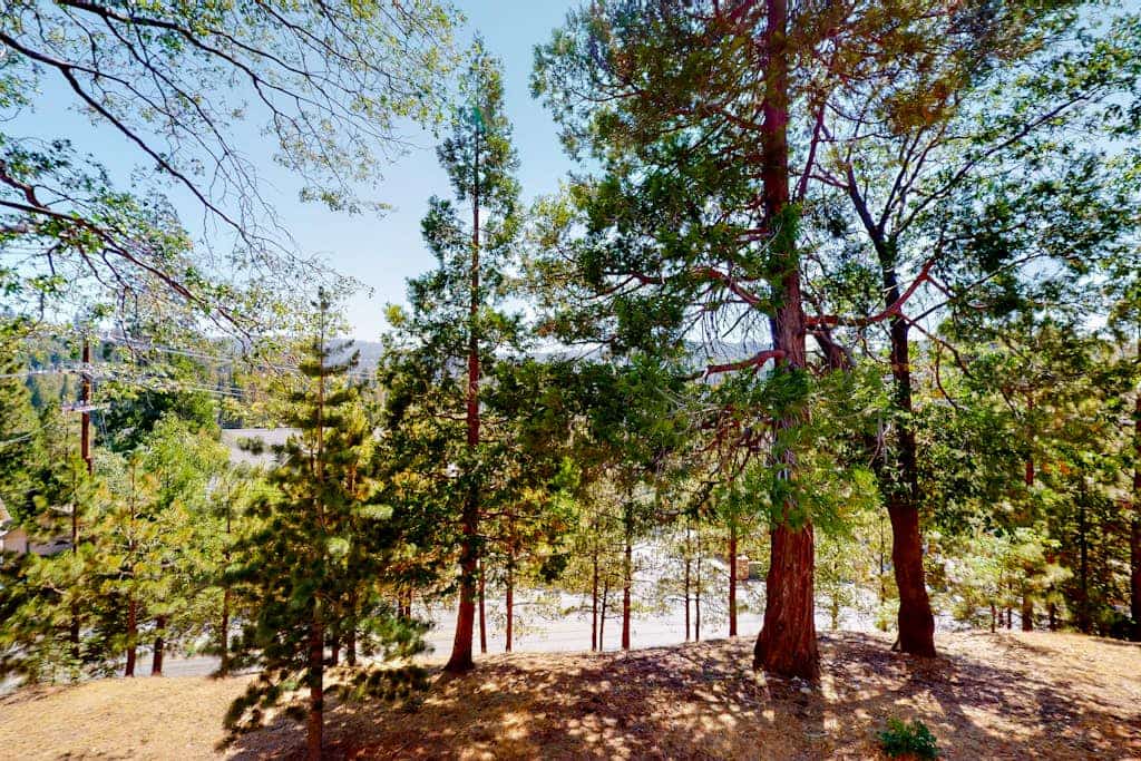 Tree-top getaway with forested views, elevated deck & fireplace