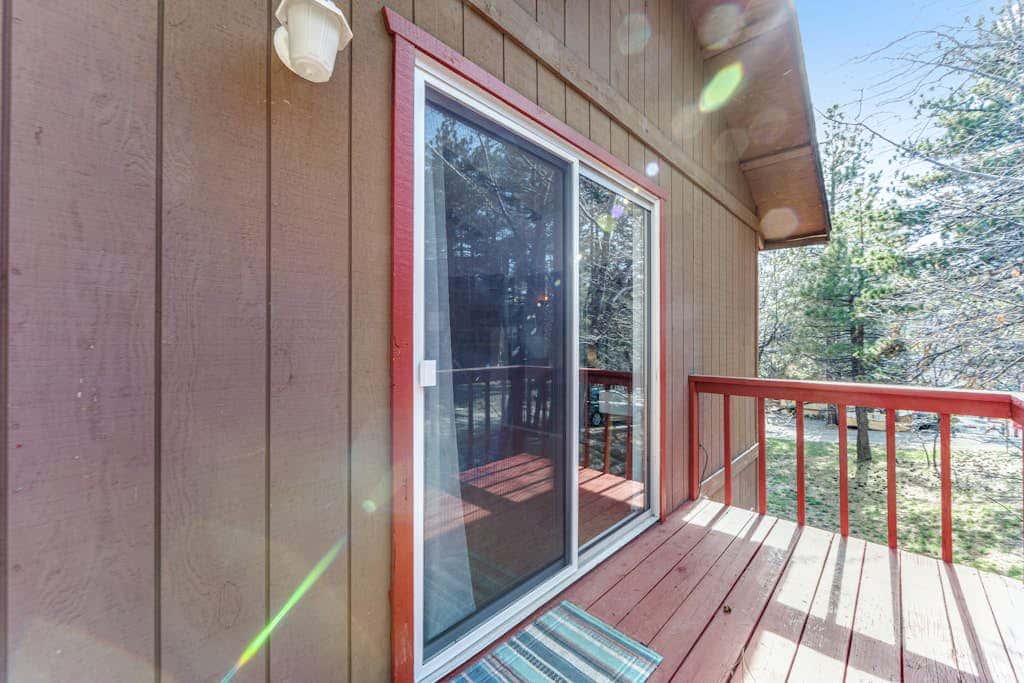 Blue Bird Beauty