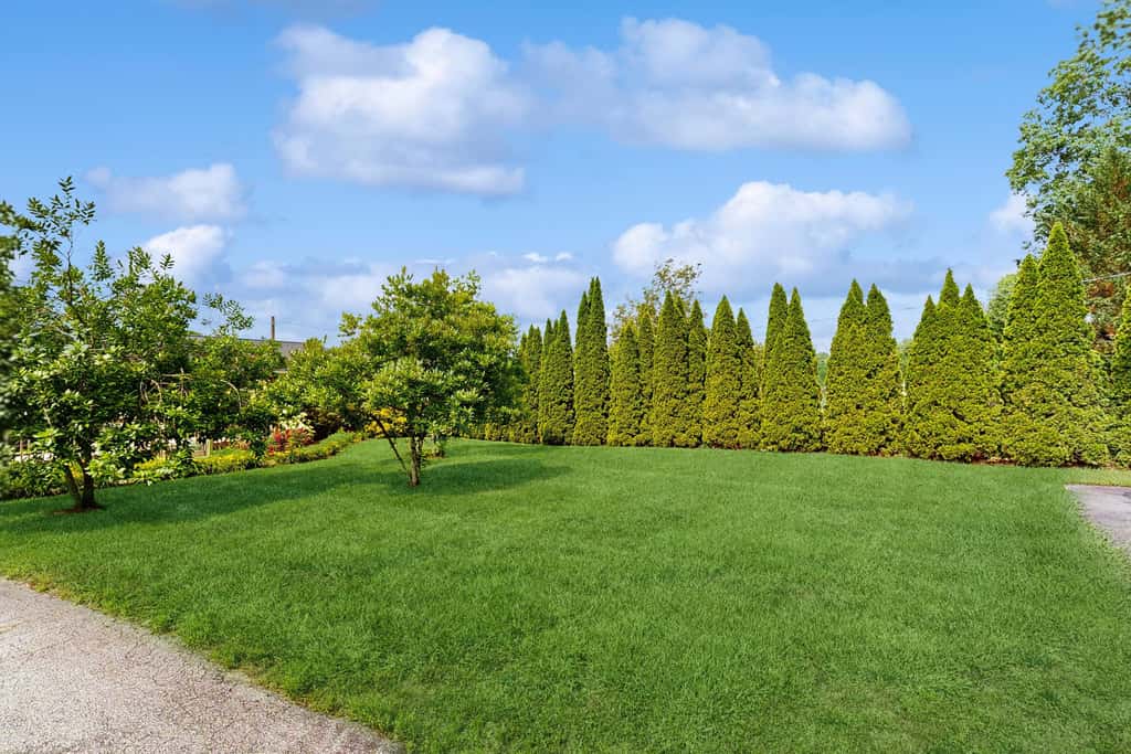 Cozy dog-friendly, house, fenced backyard, outdoor seating, deck, central air, wifi