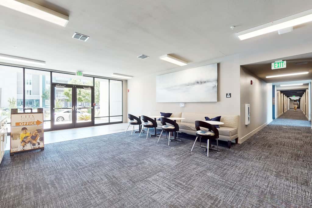2 Mi to UF Campus! Modern Luxury Apt w/ Pool