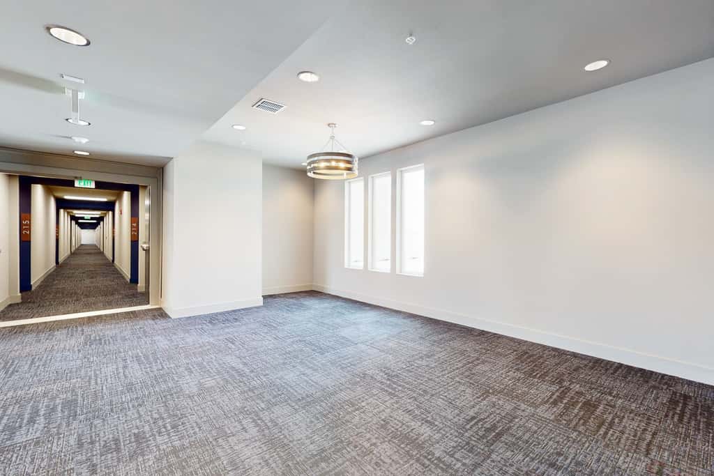 2 Mi to UF Campus! Modern Luxury Apt w/ Pool