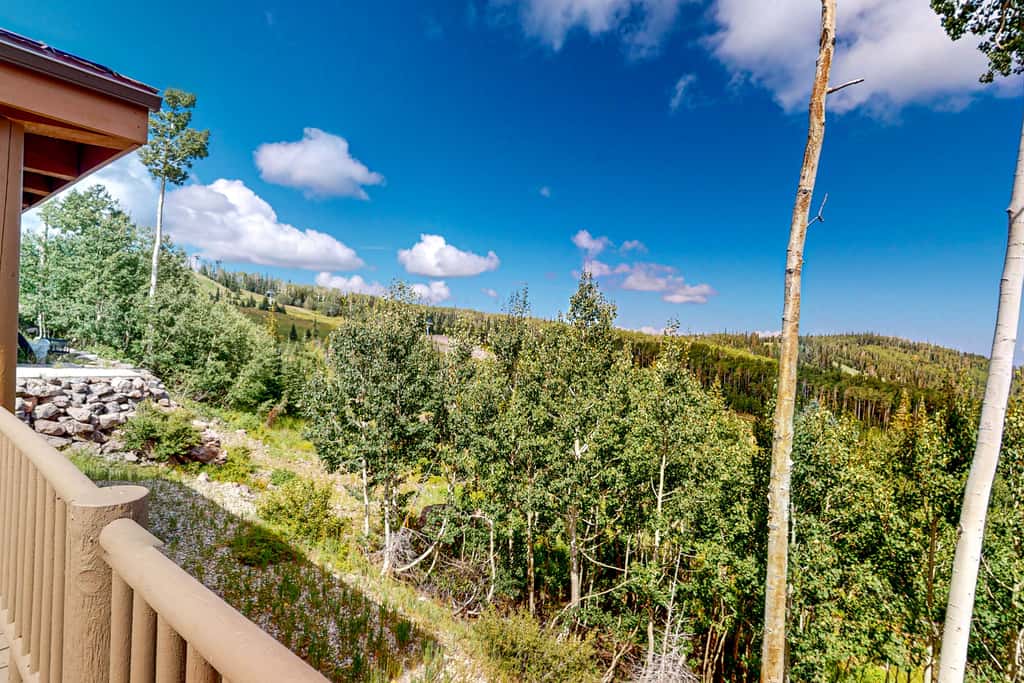 Views, Deck & Games Galore: Brian Head Home