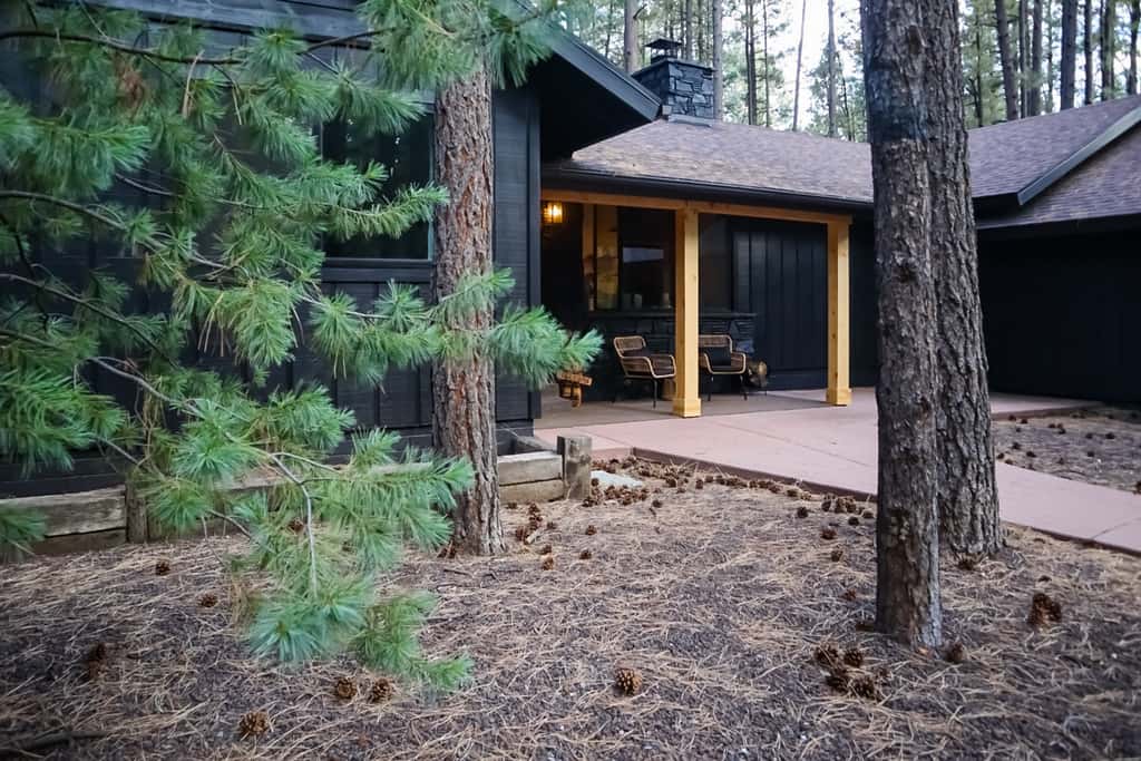 Hot Tub & Game Room! Pinetop 'Wild Horse Retreat'