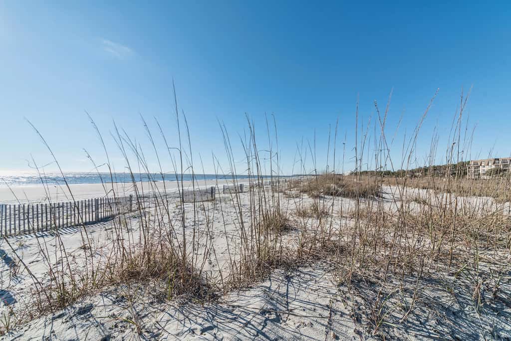 Luxury Direct Oceanfront 3BR Panoramic Ocean Views