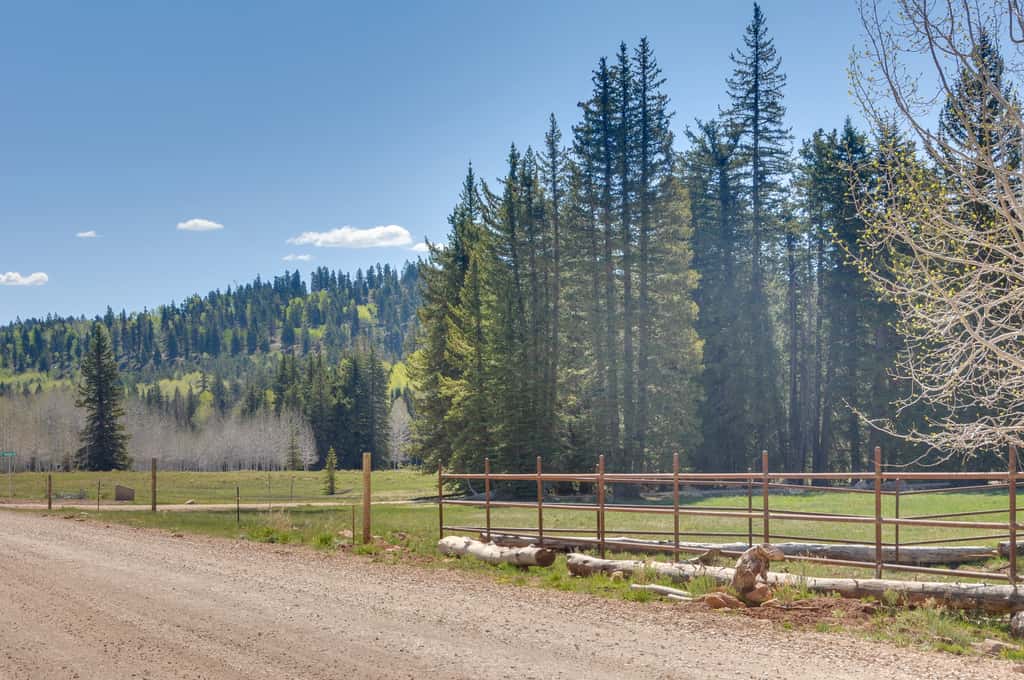 Near Nat’l Parks! Secluded Duck Creek Village Gem